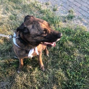 Meet your Posher, Kitana